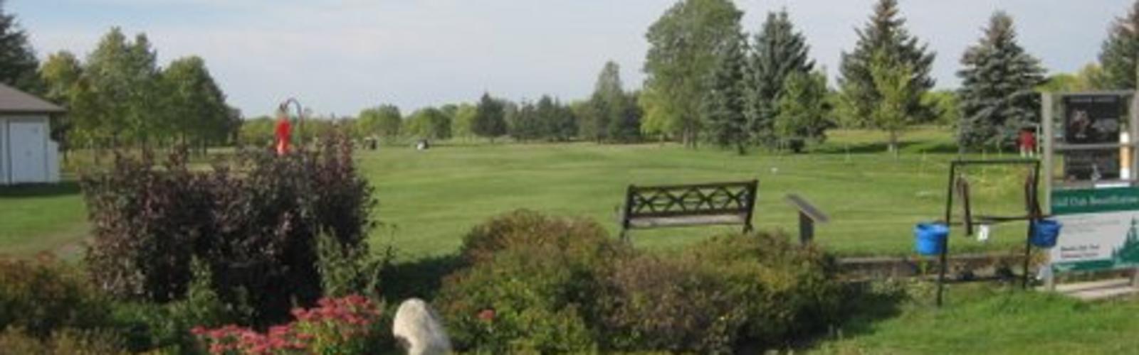 MacGregor Town & Country Golf Club