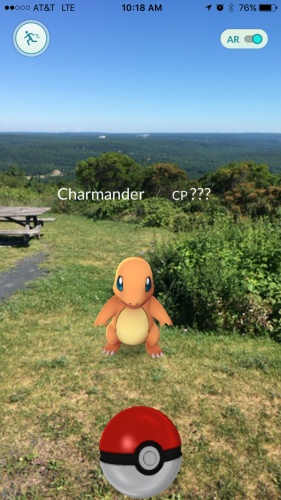 Charmander is taking in the scenic views at Big Pocono State Park
