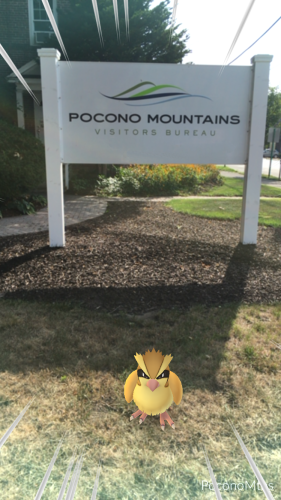 Pokémon GO in the Pocono Mountains