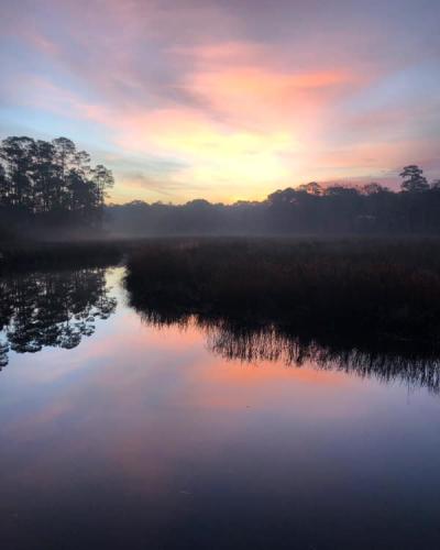 DAVIS BAYOU