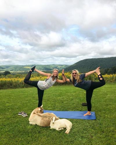 Goat yoga by angieaway