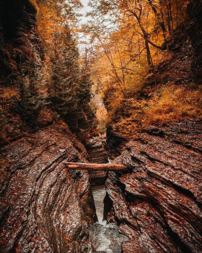 Fall by seankingphotography
