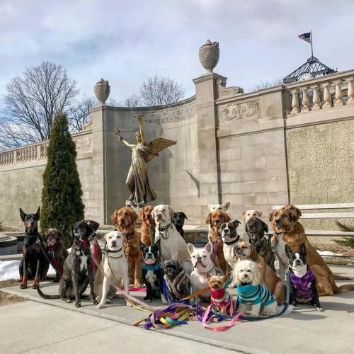 Saratoga dog walkers at Spirit of Life