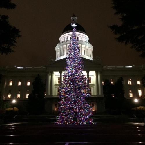 Capitol Christmas Tree Holiday