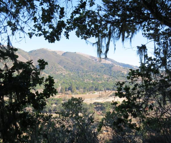 A break in the trees frames this view of the Garland Ranch.