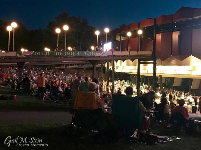 Crowded lawn at SPAC during a concert