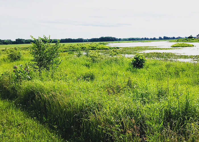 Northwest Indiana Erie Lackawanna Trail view