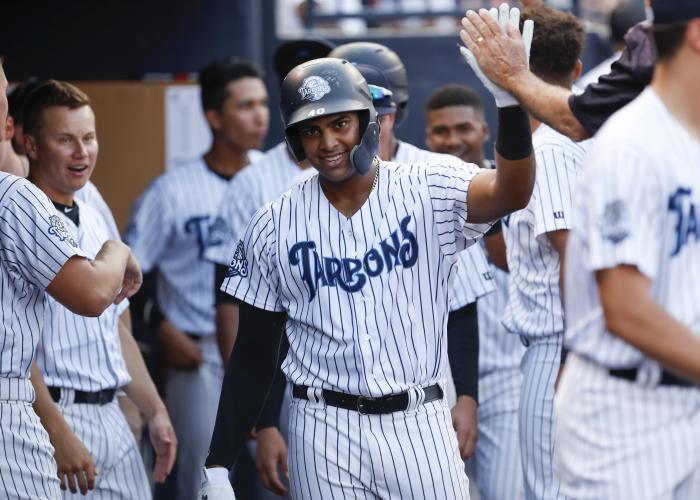 Tampa Tarpons