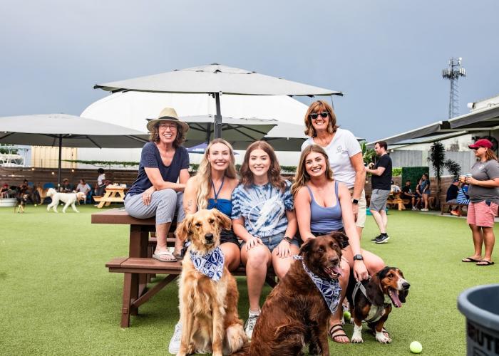 Dog with People
