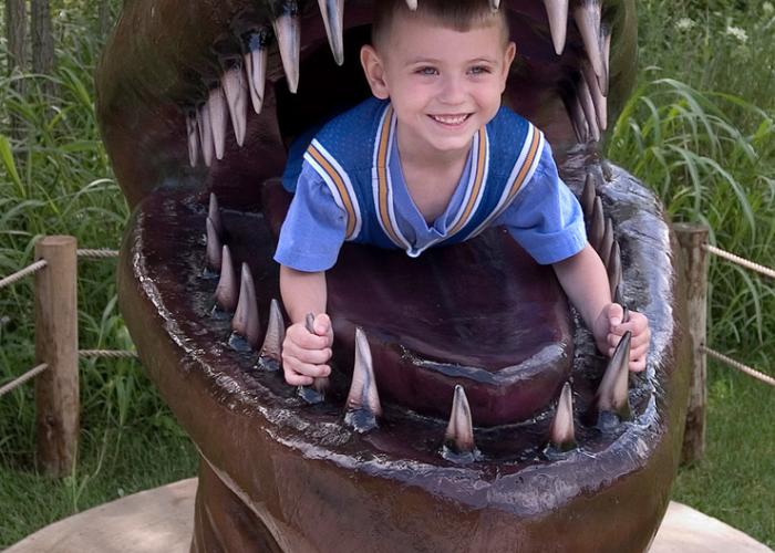 Boy in Dinosaur