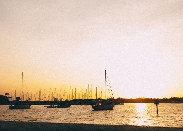Davis Islands Beach