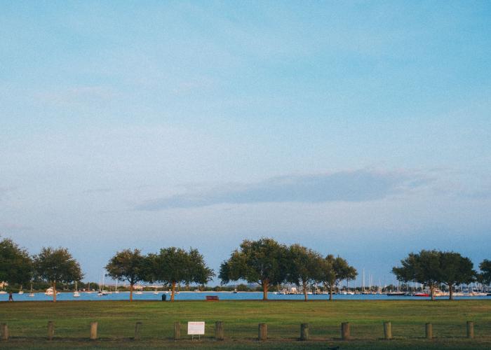 Davis Islands Beach