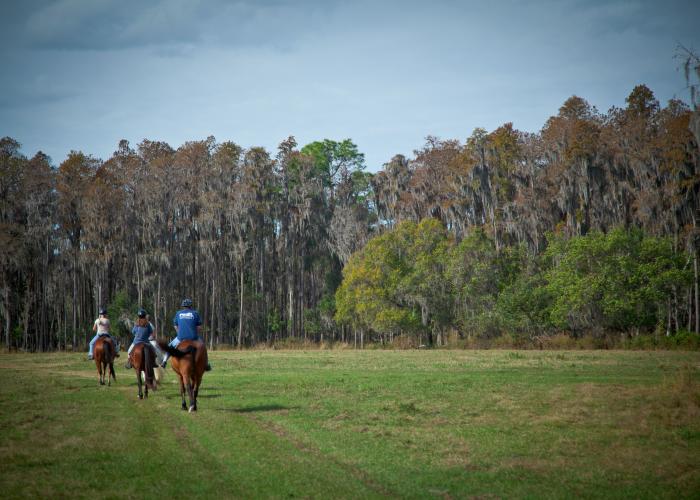 Hillsborough County Parks Horseback riding