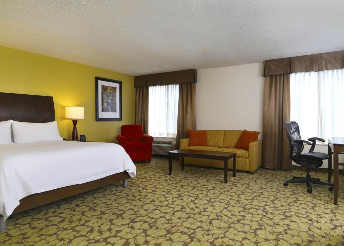 King Deluxe Suite w/Sleeper Sofa