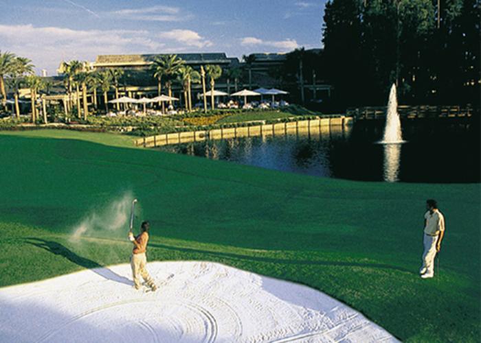 Saddlebrook