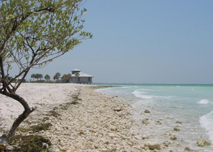 Honeymoon Island State Park
