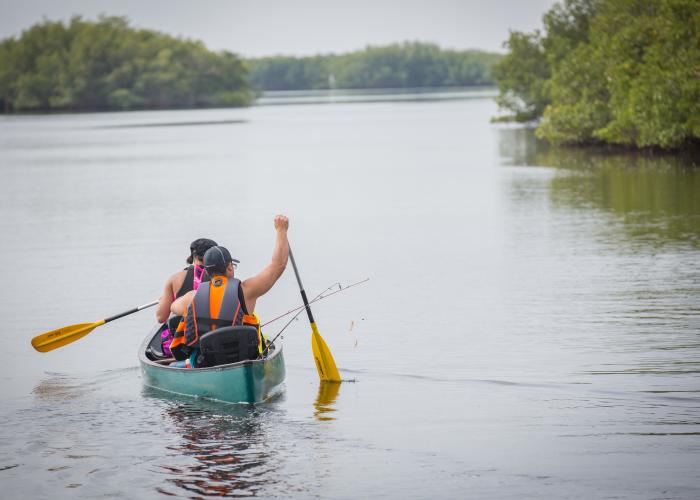 Hillsborough County Kayaking - Upper Tampa Bay Trail