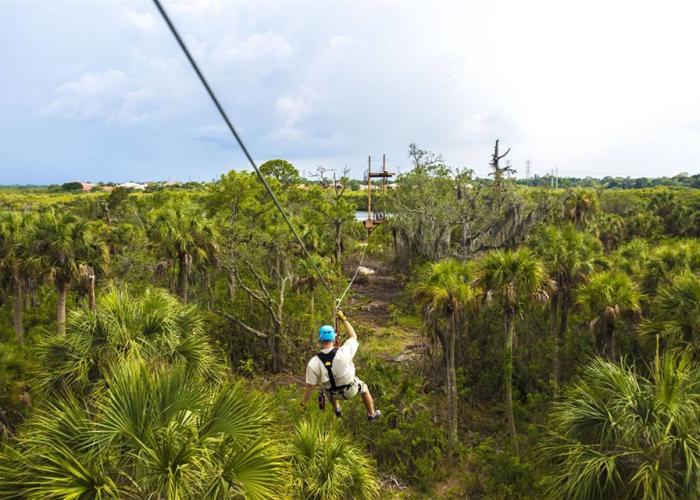 Zip line over the nature preserve