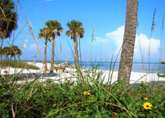 Fred Howard Beach Park