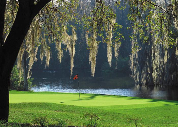Island at Innisbrook