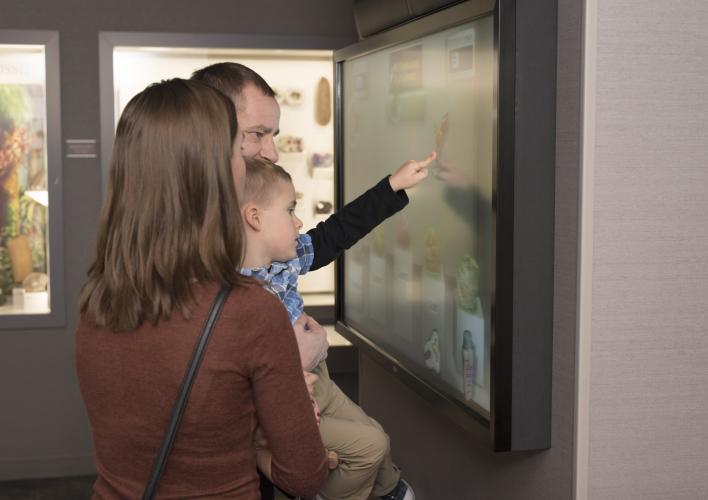 New Interactive Displays
