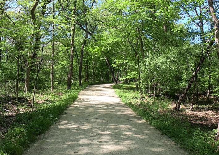 Fullersburg Woods Nature Education Center