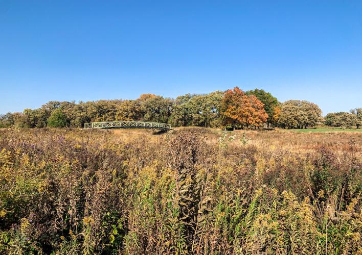 Preserve at Oak Meadows Bridge