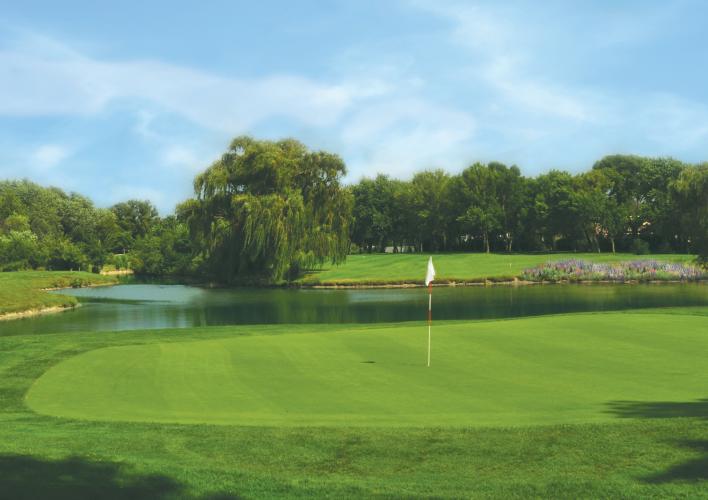 cover golf course photo.jpg