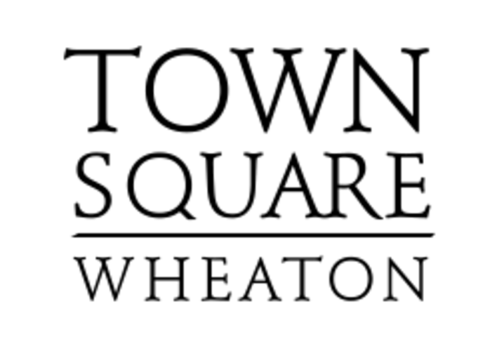 tsw-logo250x176.png