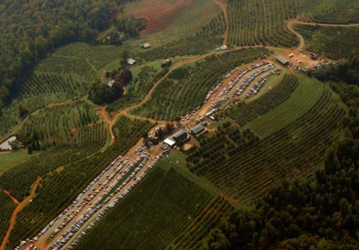 Carter Mountain Orchard And Country Store In Charlottesville Va