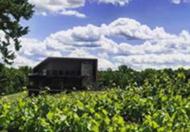 Fifty Third Winery And Vineyard