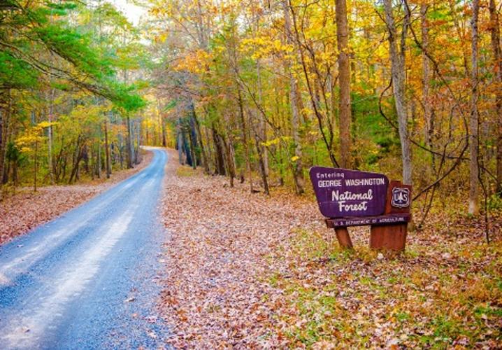 George Washington National Forest