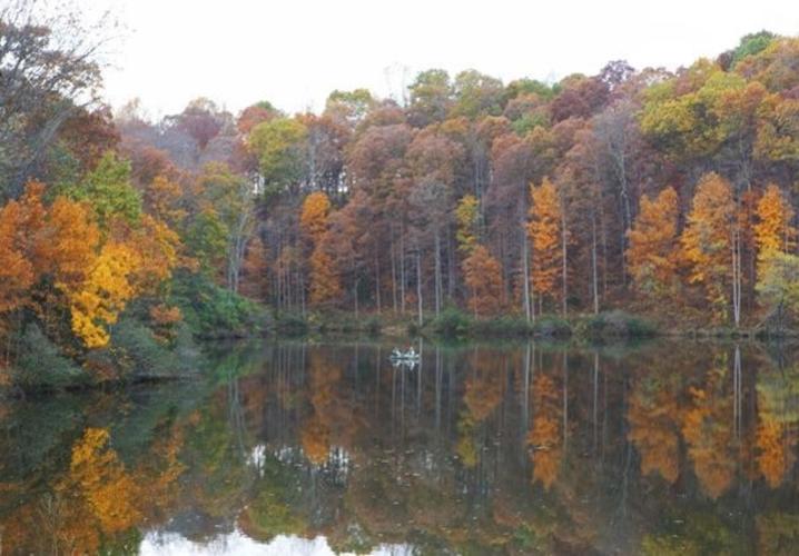 Walnut Creek Park