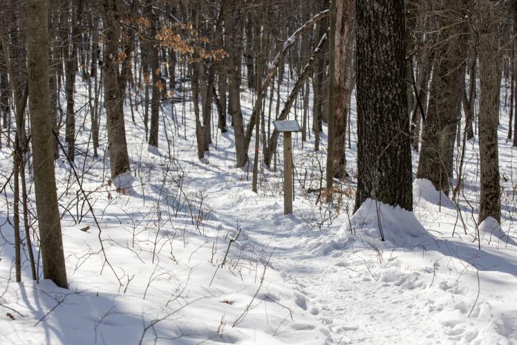 Guettinger Woods & Wildlife Area
