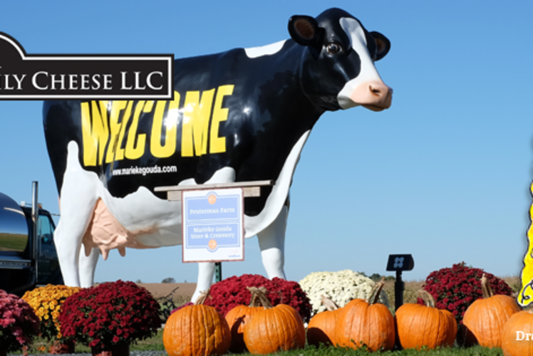 Holland Family Cheese LLC