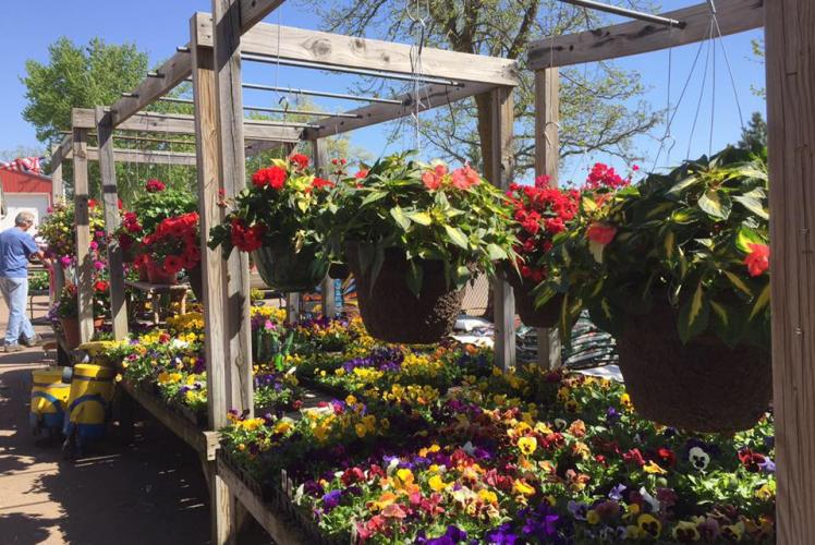 Klinger Farm Market: flowers