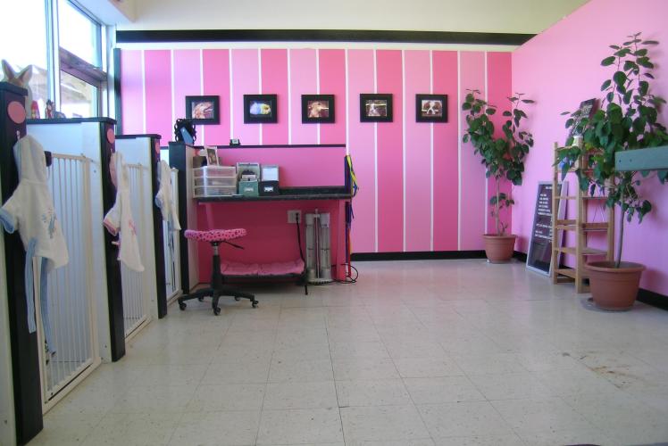 Pet grooming in Eau Claire