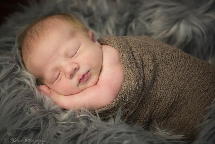 Michelle Monson Photography - Newborn Baby Photoshoot