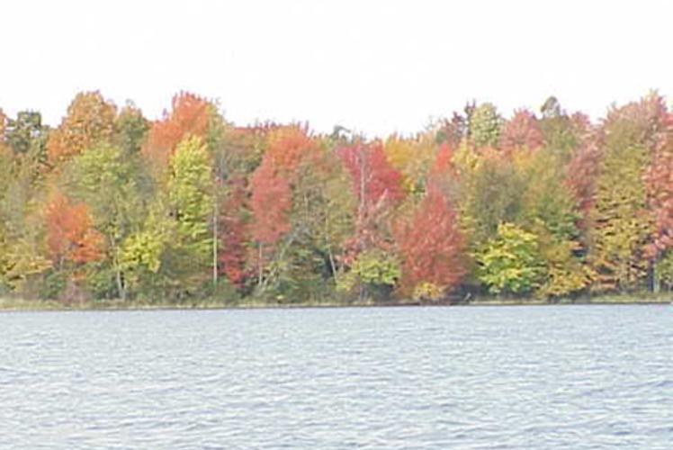 Birch Point Resort In Bloomer, Wisconsin
