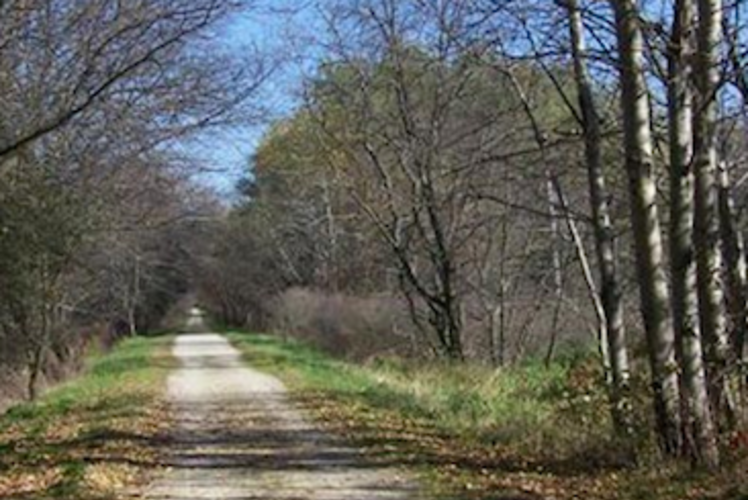 Buffalo River State Trail Mondovi, WI 54755