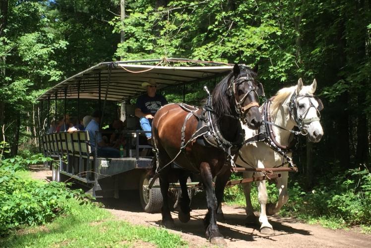 Cabin Ridge Rides - Horse Drawn Wagon