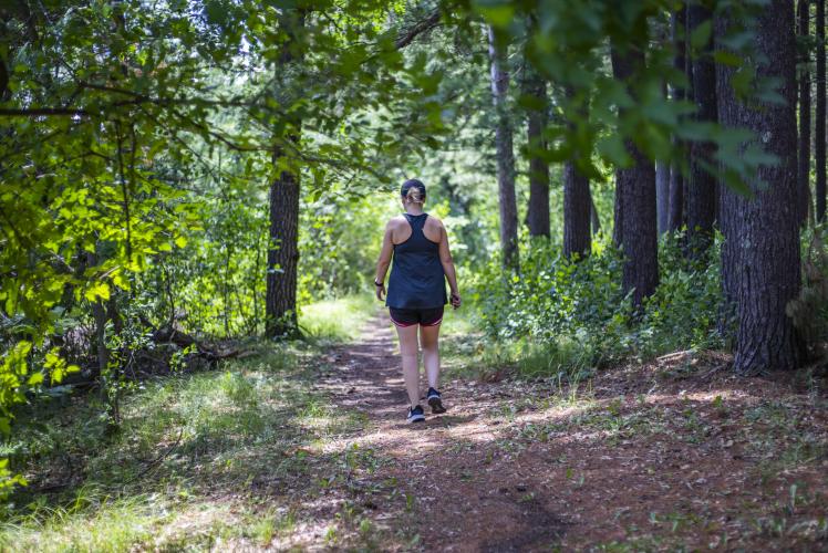 Carson Park hiking trail