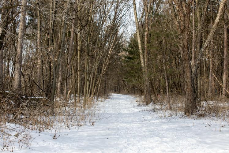 City Wells Area Trail in Eau Claire, WI