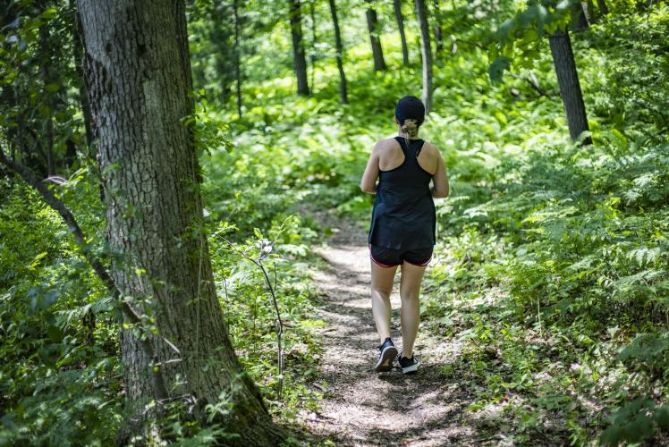 Domer Park Trail
