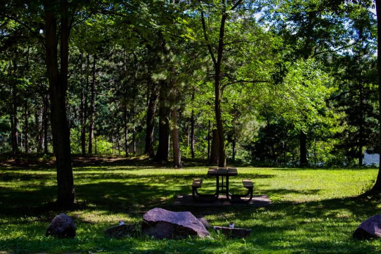 Domer Park in Eau Claire, Wisconsin
