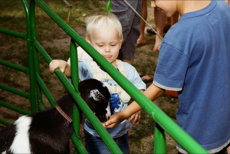 Festival in the Pines Petting Zoo