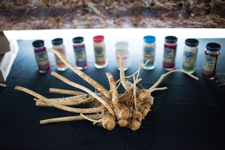 Silver Spring Foods, Inc. Eau Claire, WI 54703