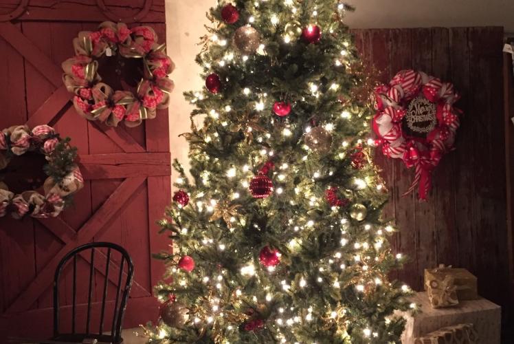 Curvue Hideaway & Trees Tree Farm Christmas Tree in Eau Claire, Wisconsin