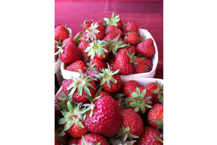 Just Local Food Co-op Strawberries in Eau Claire, Wi