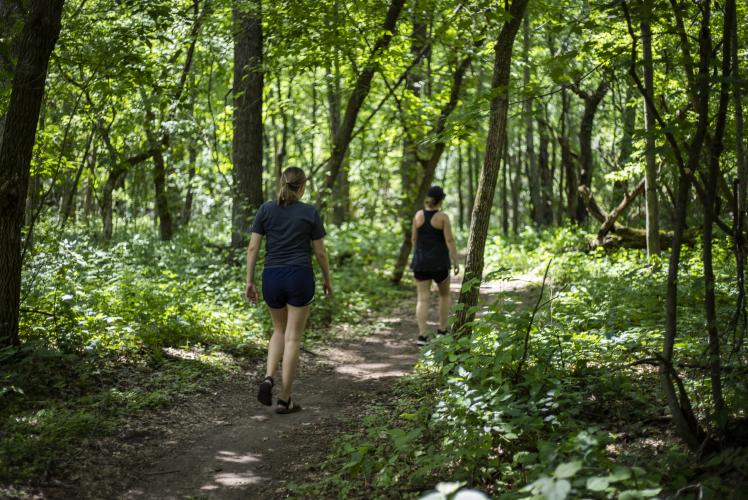 Lowes Creek County Park hiking